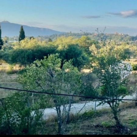 Cozy Corfu Bungalow 5 Minutes To Aqualand Ágios Ioánnis 외부 사진