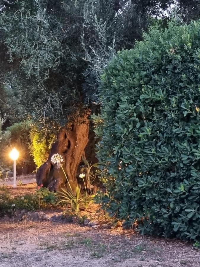 Cozy Corfu Bungalow 5 Minutes To Aqualand Ágios Ioánnis 외부 사진