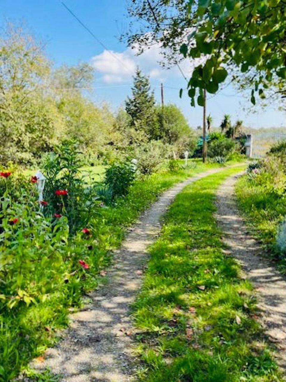 Cozy Corfu Bungalow 5 Minutes To Aqualand Ágios Ioánnis 외부 사진